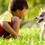 slider_img_2